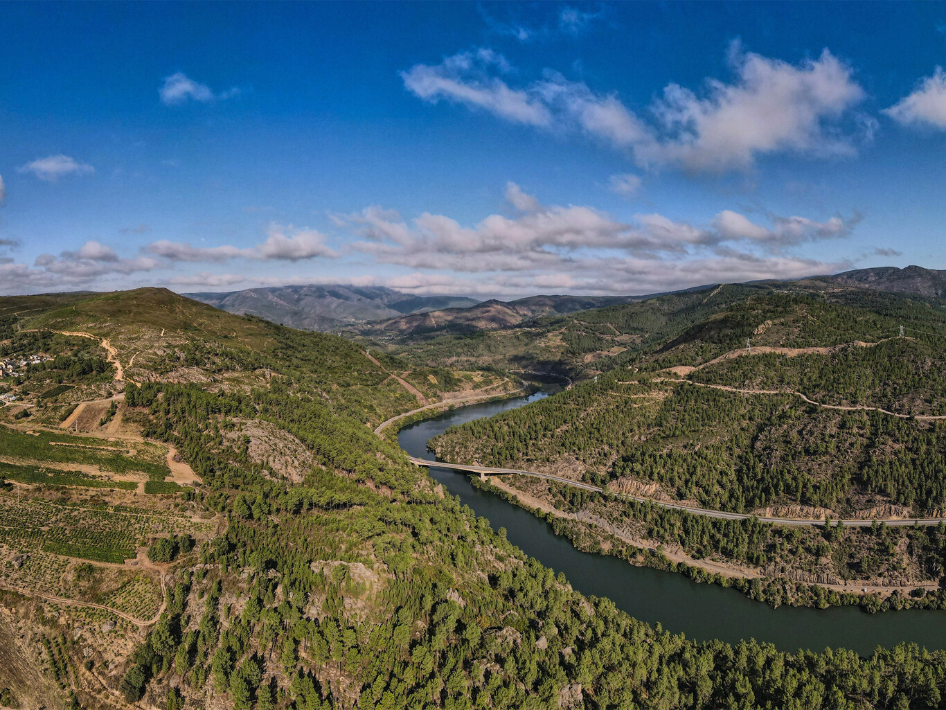 vinos de galicia