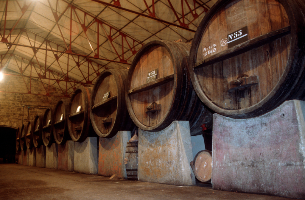 Copa de txakoli, el vino blanco joven del País Vasco